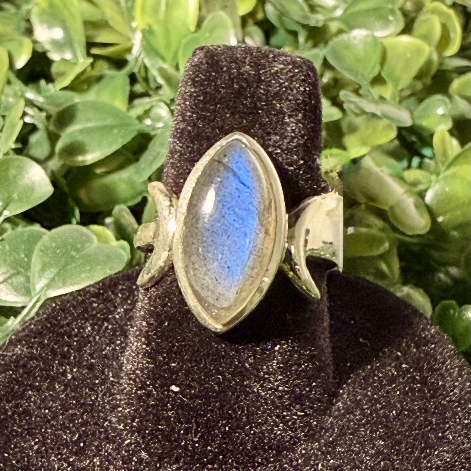 Marquesa Goddess Labradorite Ring Sz 7