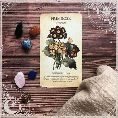 Cards {Inspiration Decks, Affirmation Decks, etc}