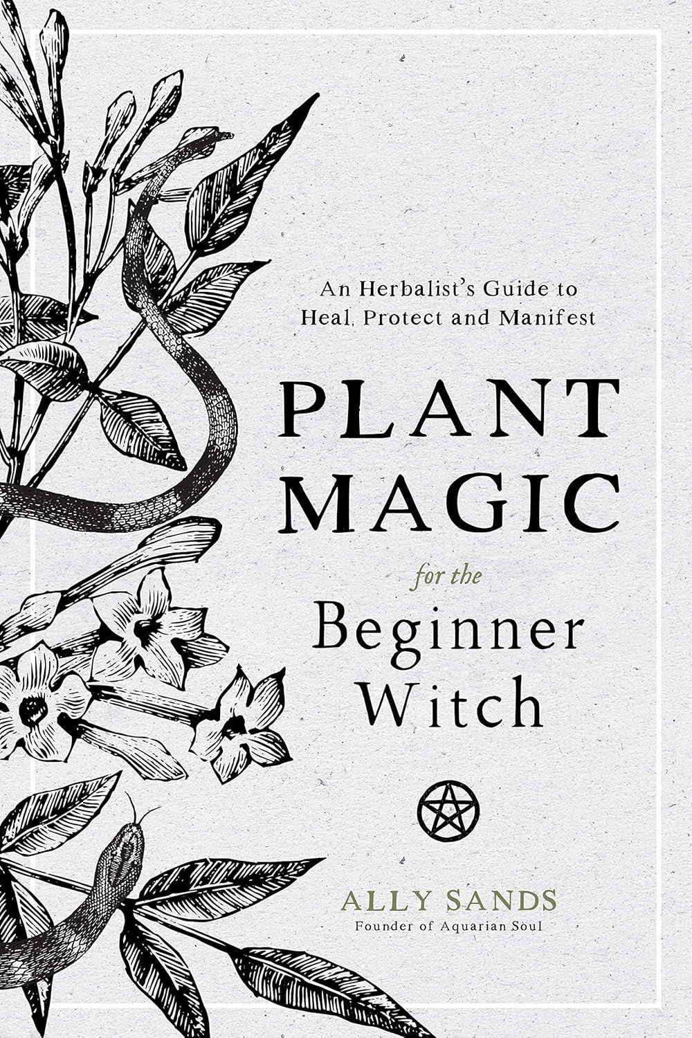 Plant Magic For The Beginner Witch