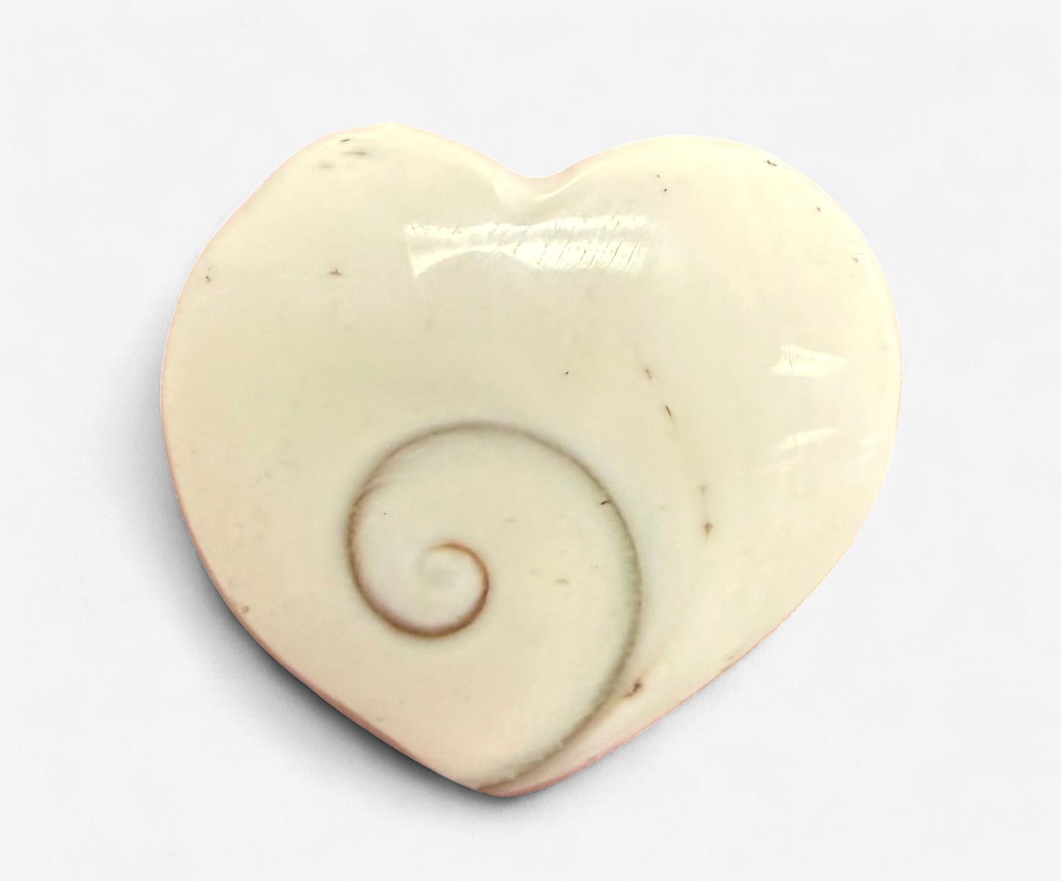 Shiva Eye Heart