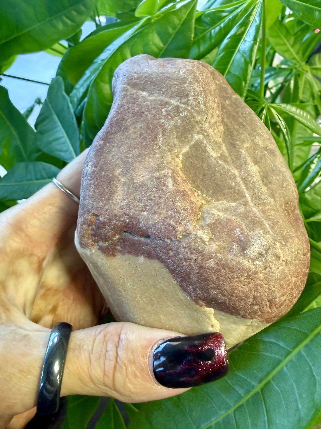 Narmadeshwar Stone