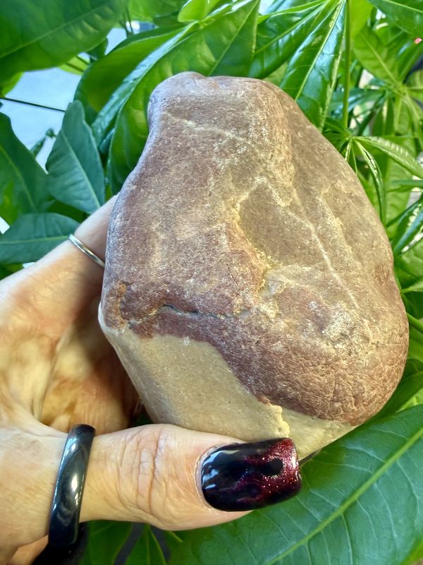Narmadeshwar Stone