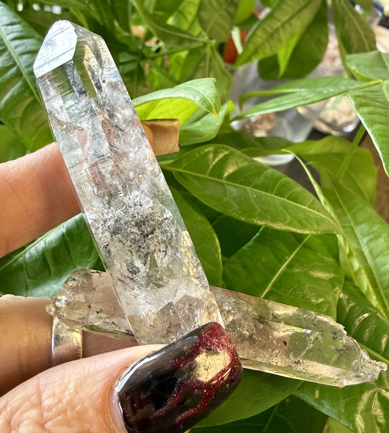 Naturally Joined Tourmalinated Quartz Points