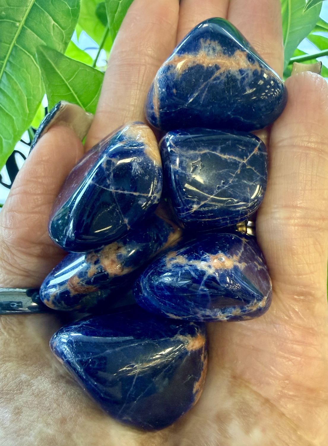 Sunset Sodalite Tumbled