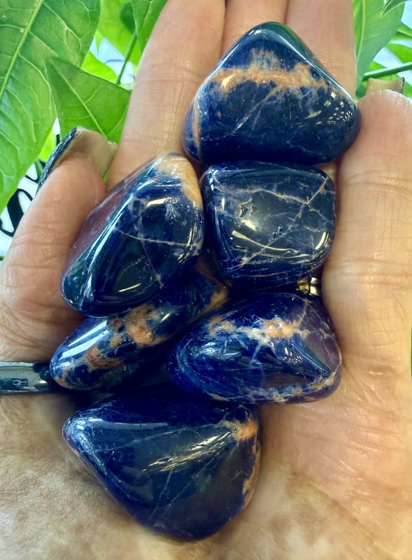 Sunset Sodalite Tumbled