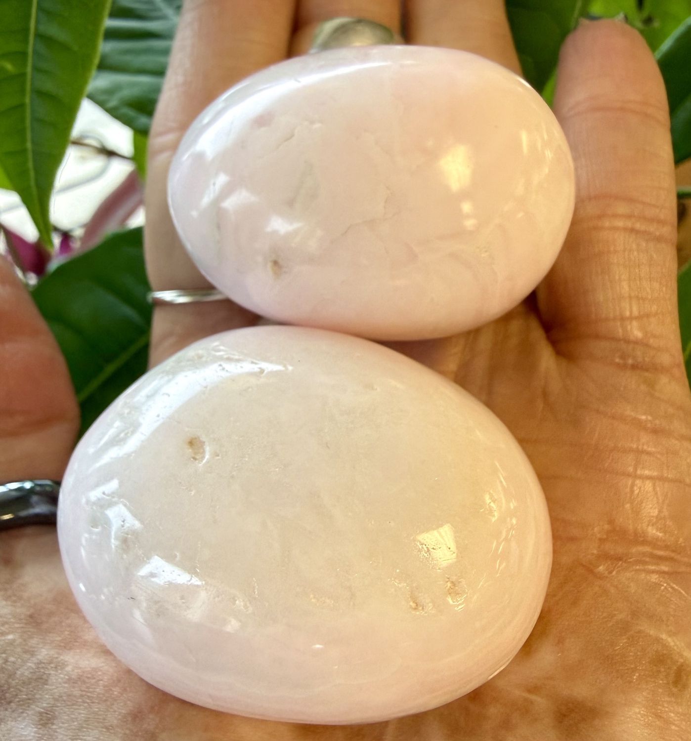 Mangano Calcite Palms
