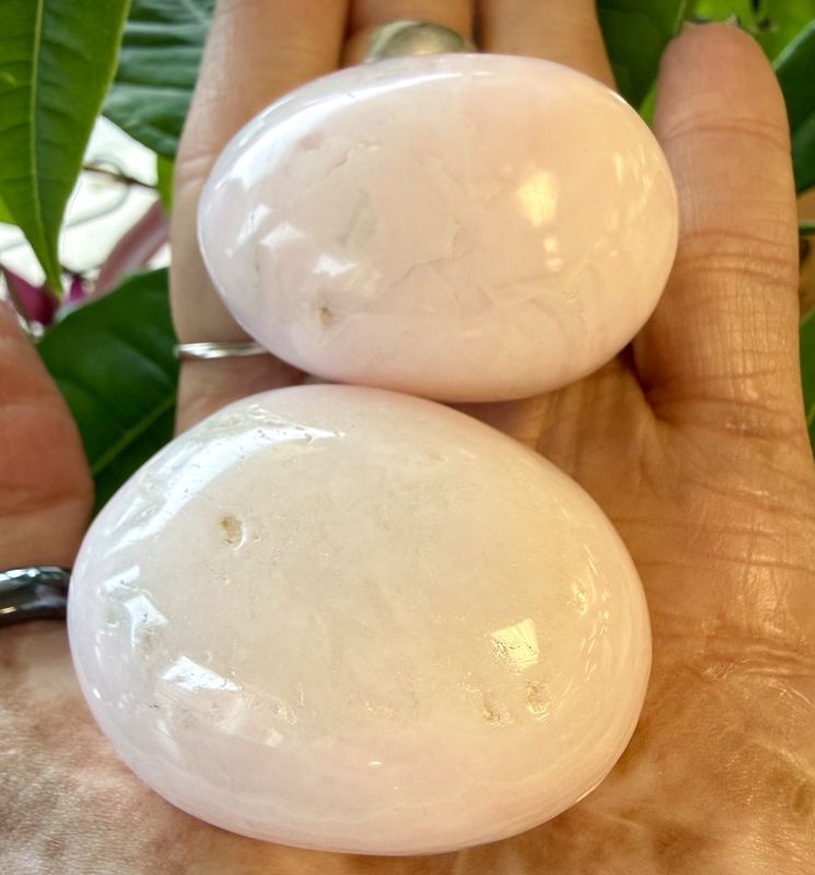 Mangano Calcite Palms