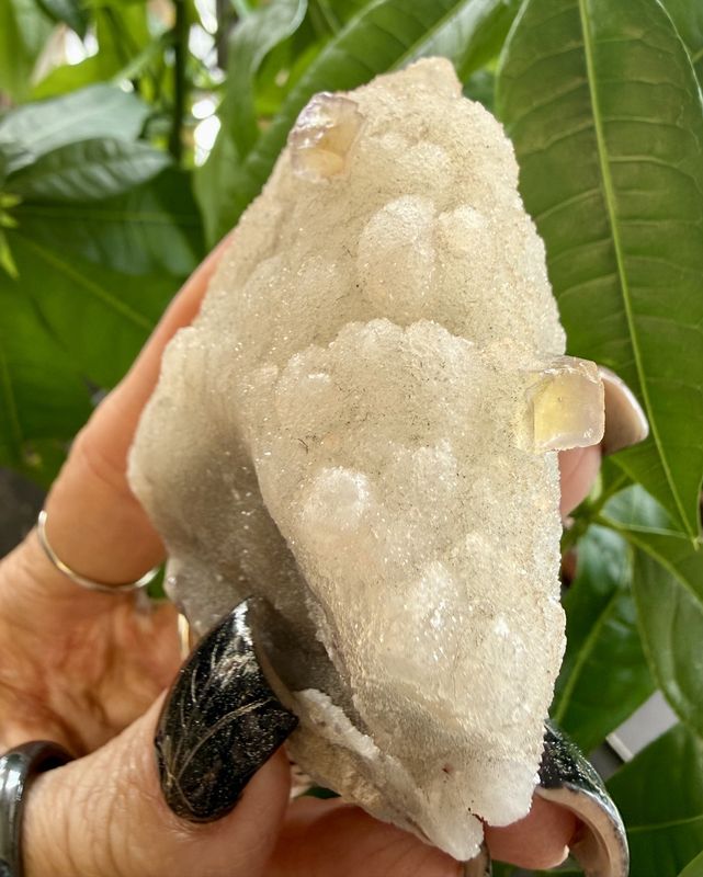 Fluorite Cube on Calcite