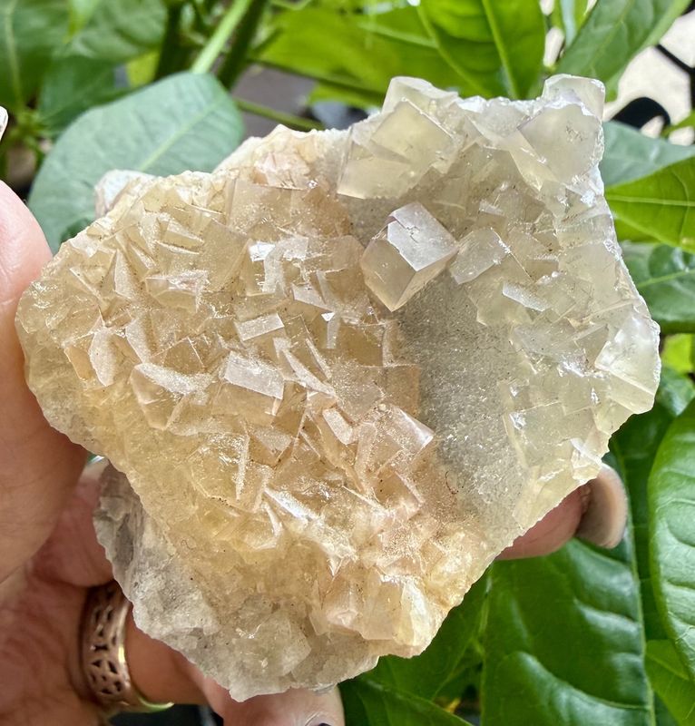 Fluorite Cubes on Cakcite