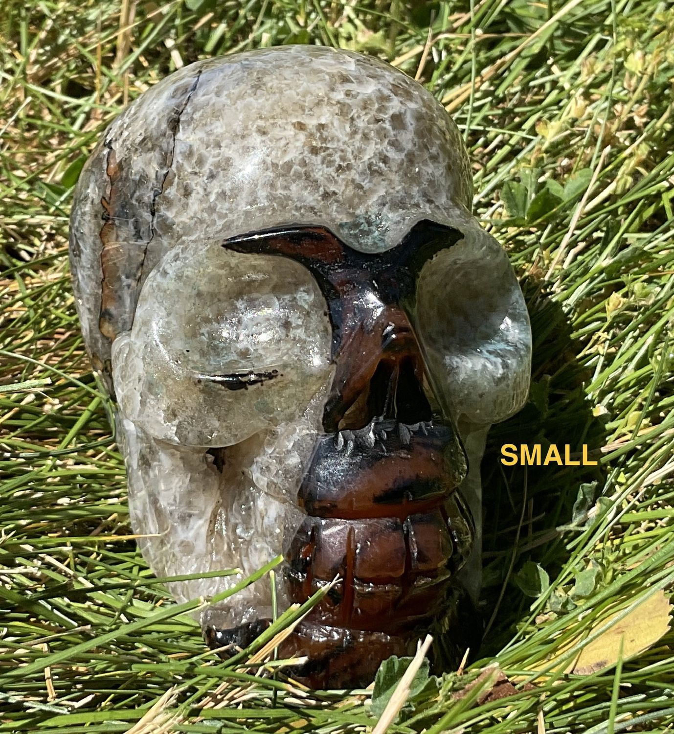 Sardonyx Skull
