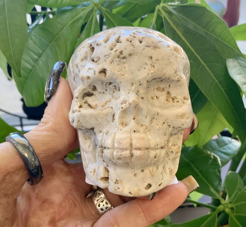 Agate Skull