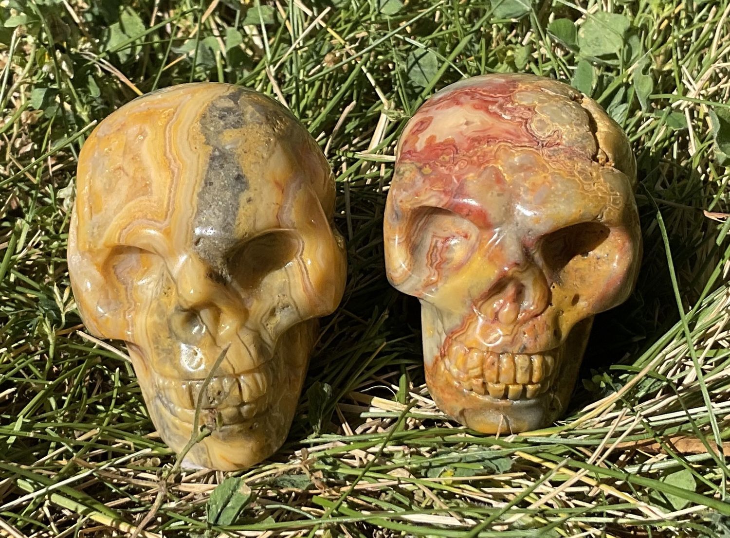 Crazy Lace Agate Mini Skull
