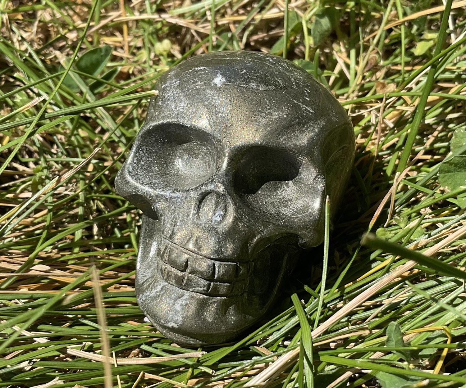 Pyrite Skull