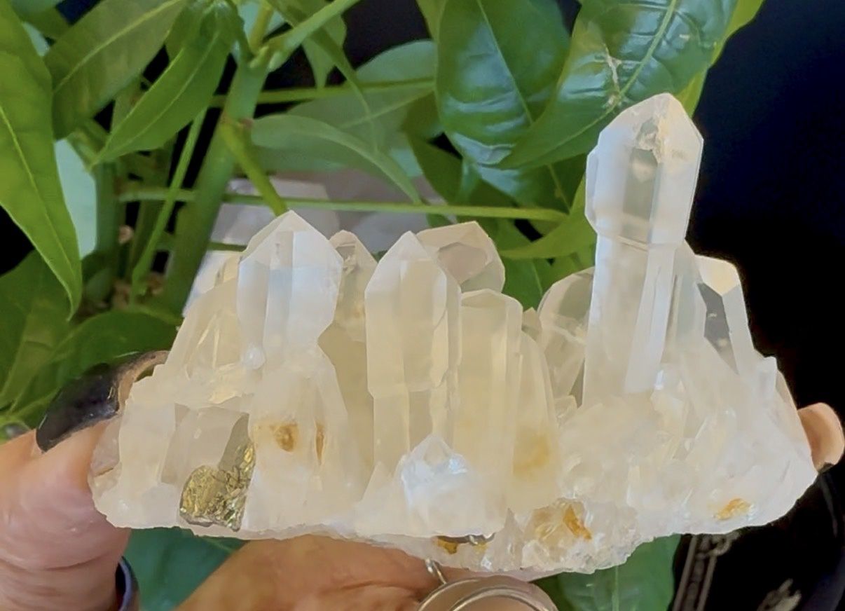 Scepter Cluster