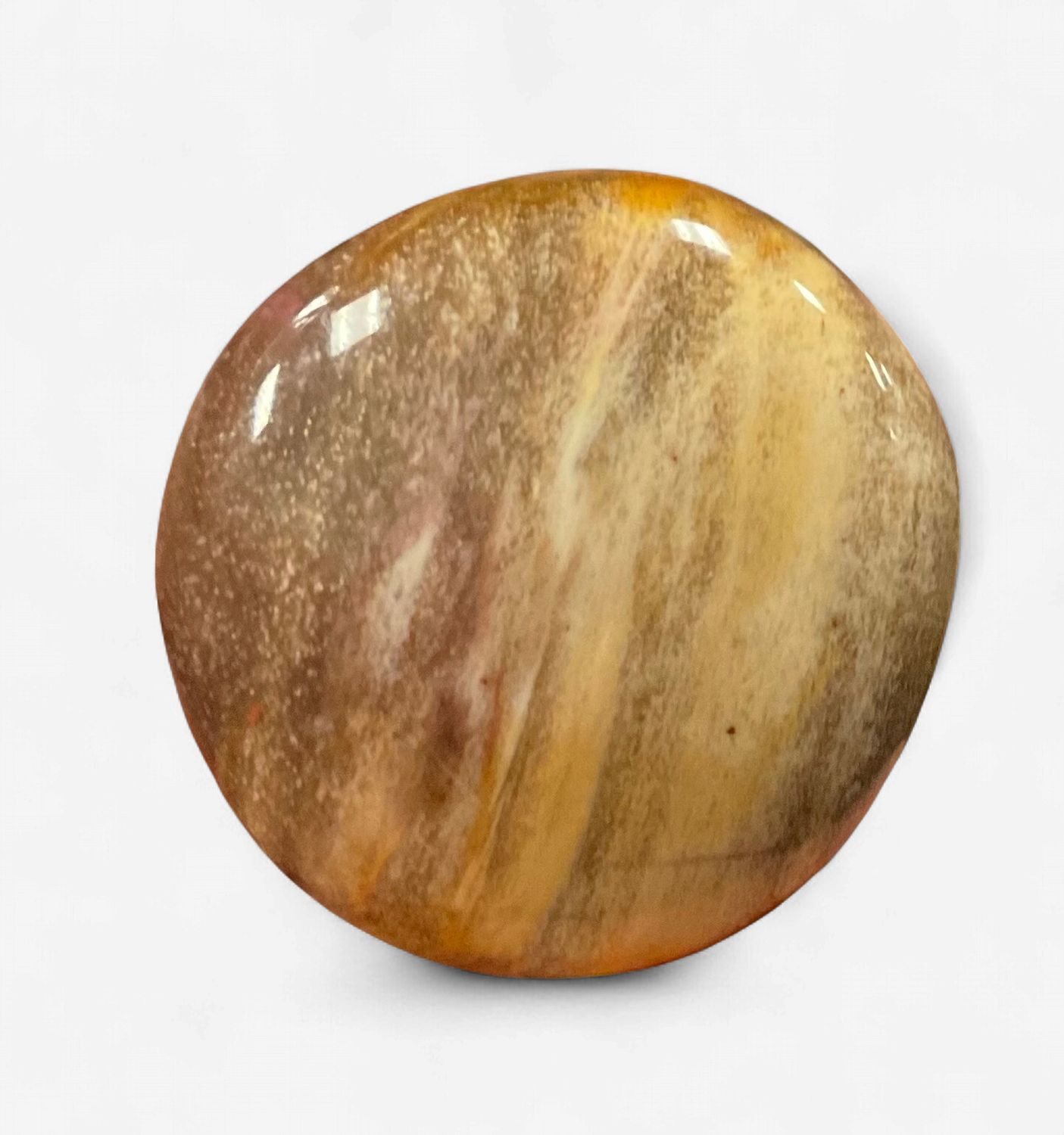 Petrified Wood Palm Stone Sm
