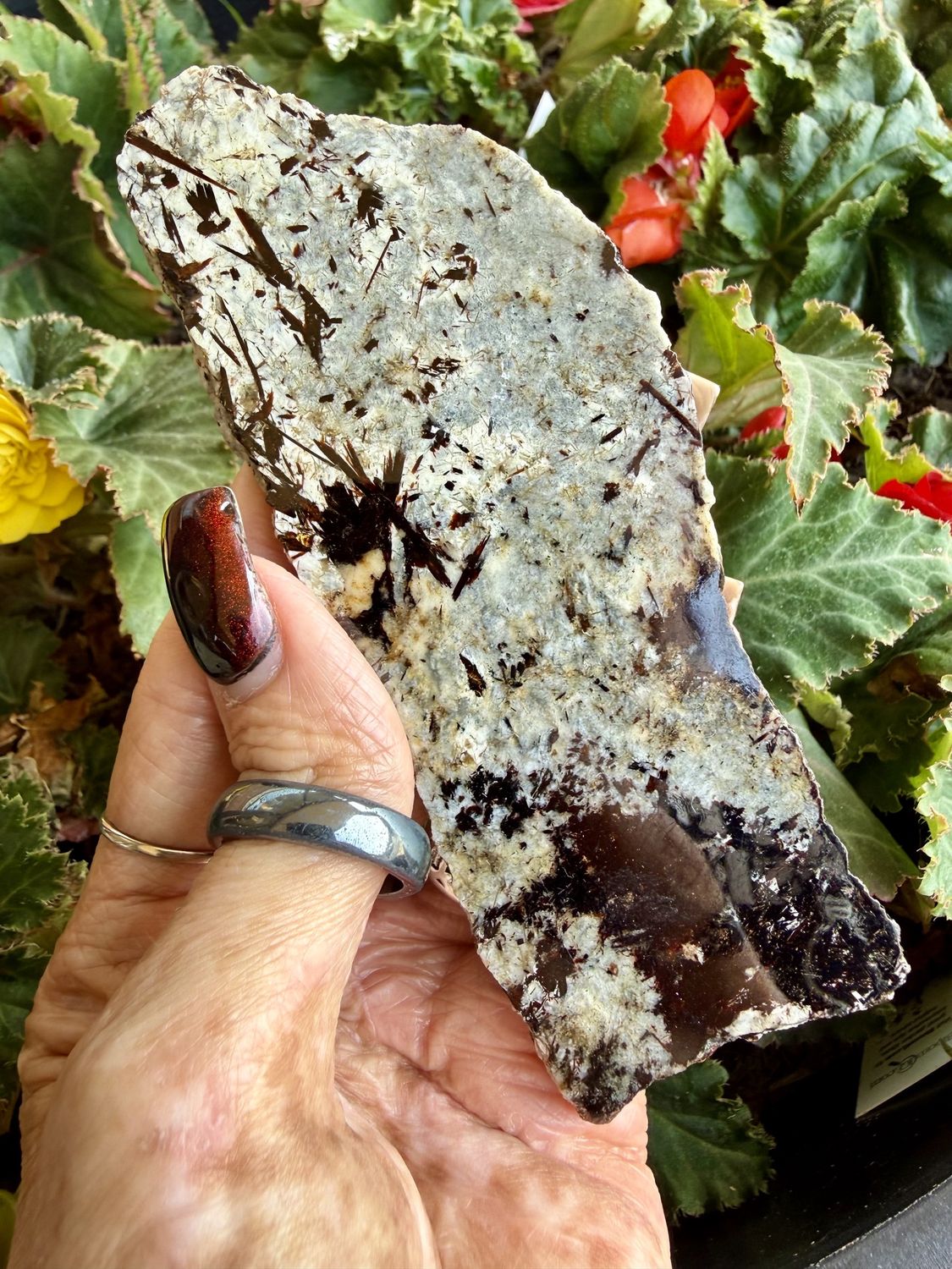 Astrophyllite