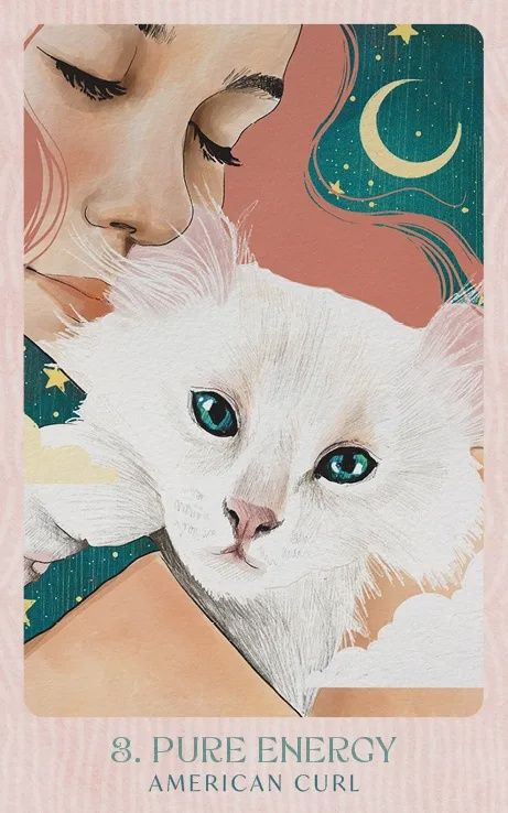Ask The Feline Sages