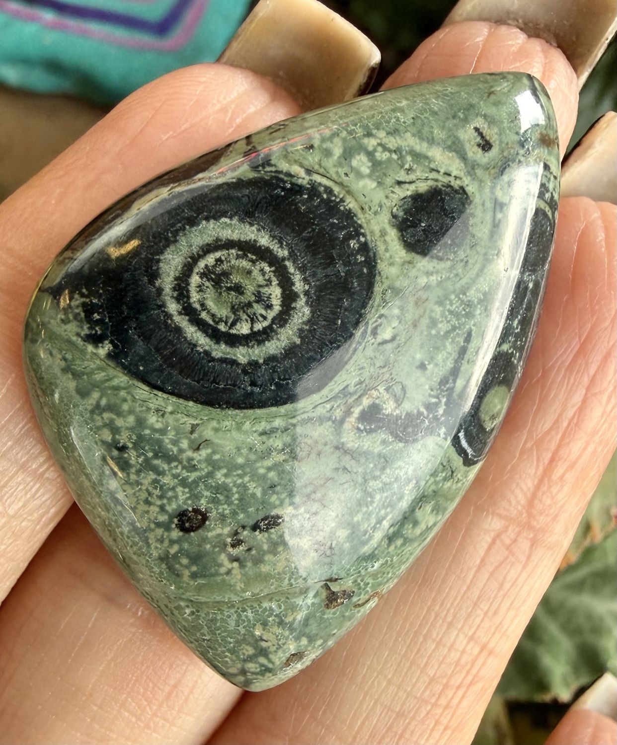 Kambaba Jasper Cabachon