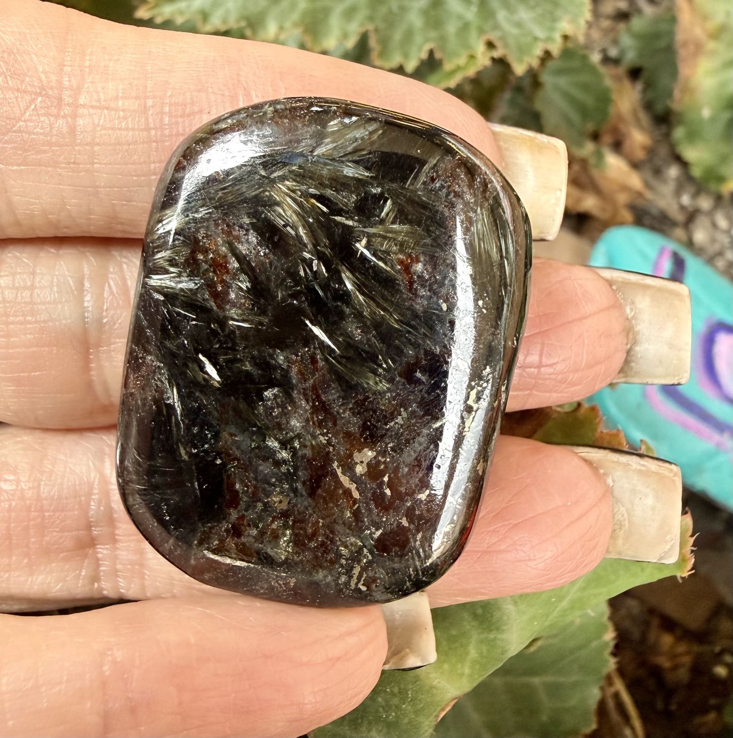 Arfvedsonite Palm Stone