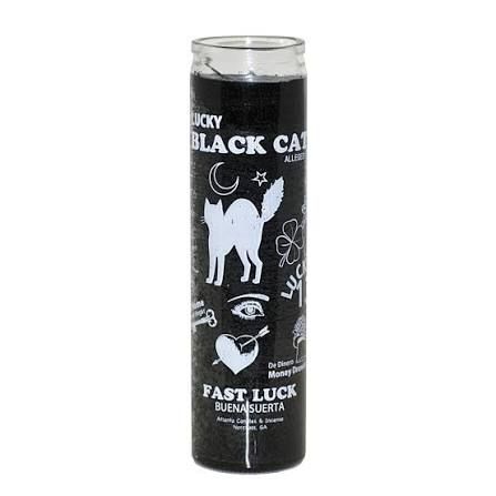7 Day Black Cat