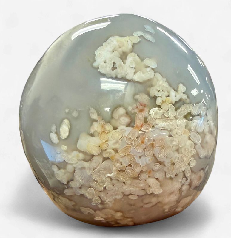 Flower Agate Skull