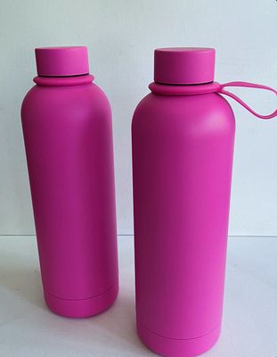 Stainless Steel 750ml Water Bottle