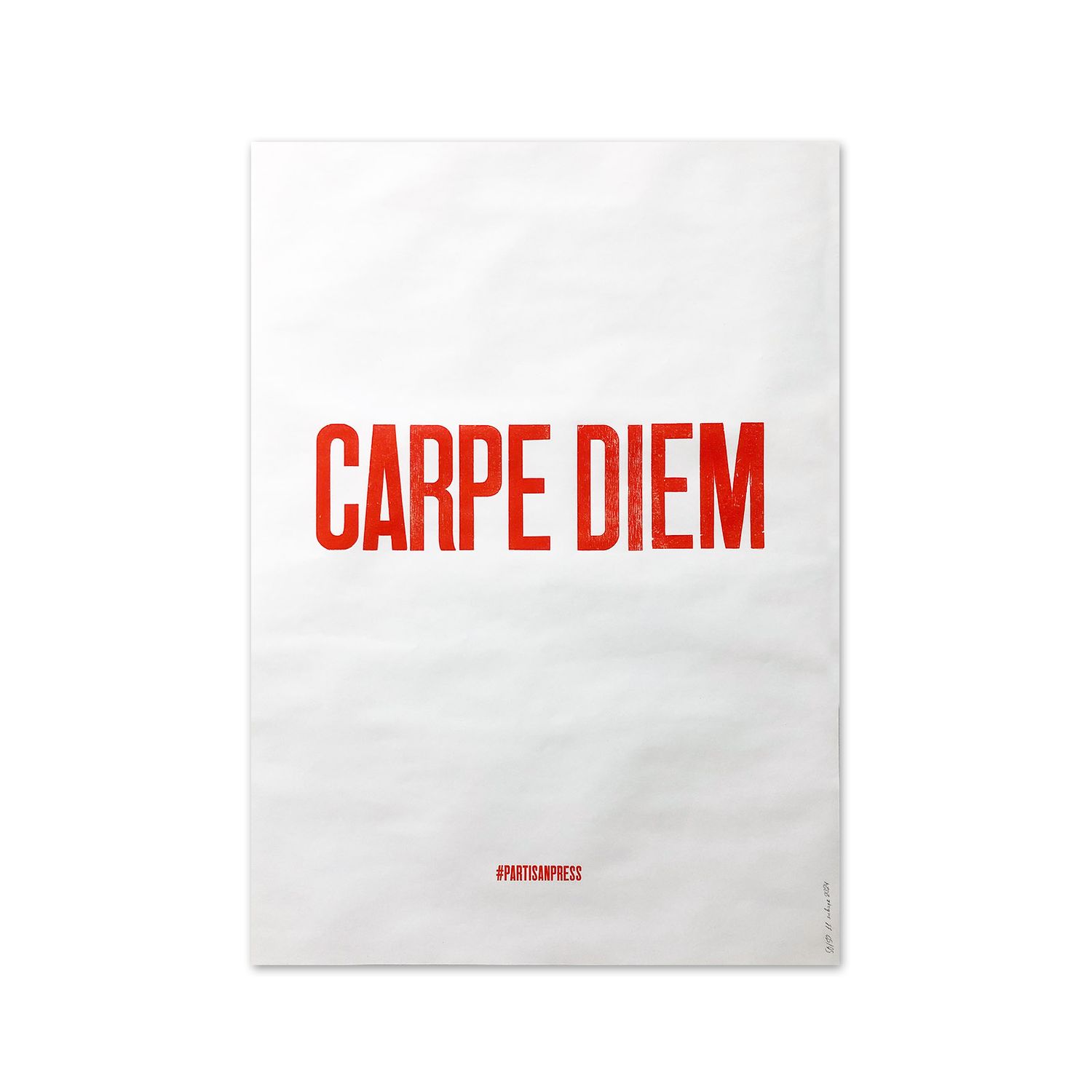 Poster &quot;Carpe diem&quot; by Partisanpress