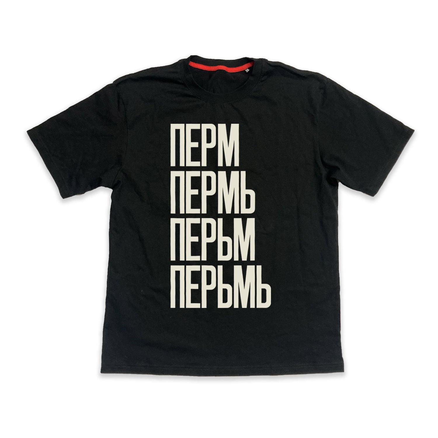 T-shirt «Пермь» х Partisanpress / black