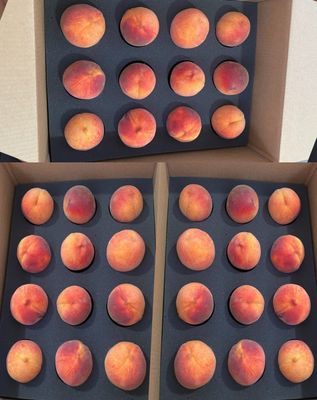 Colorado Palisade Peaches 36 count - Free Shipping