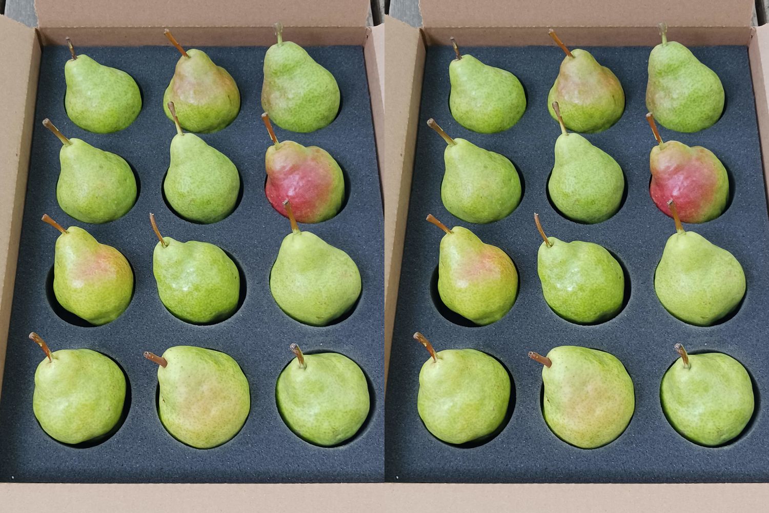 Premium Colorado Pears 24 count