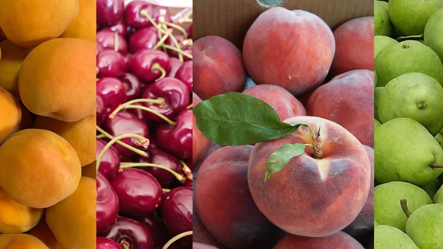 Colorado Fruit Season Subscription Box