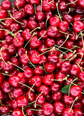 Colorado Sweet Cherries Free Shipping
