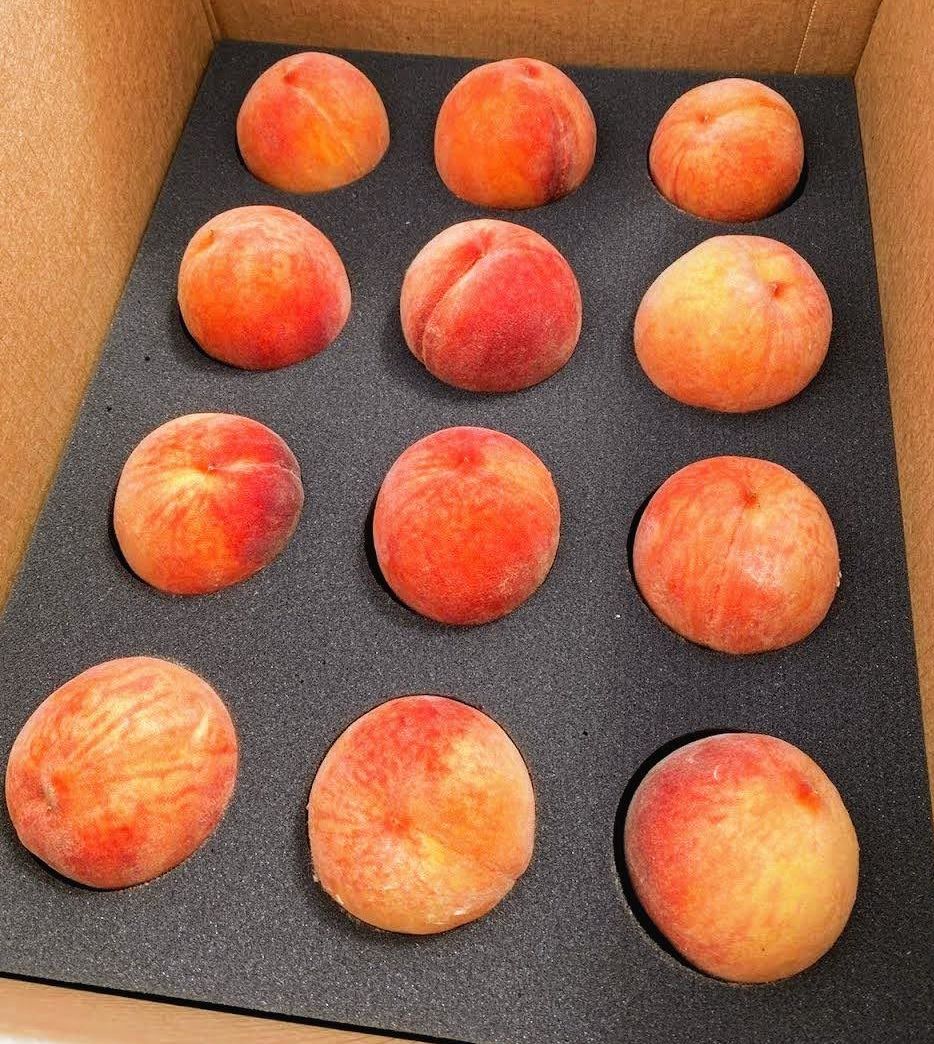 Early Colorado Palisade Peaches 12 count - Free Shipping