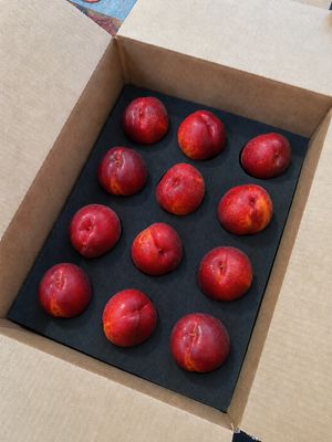 Colorado Palisade Nectarines 12 count - Free Shipping