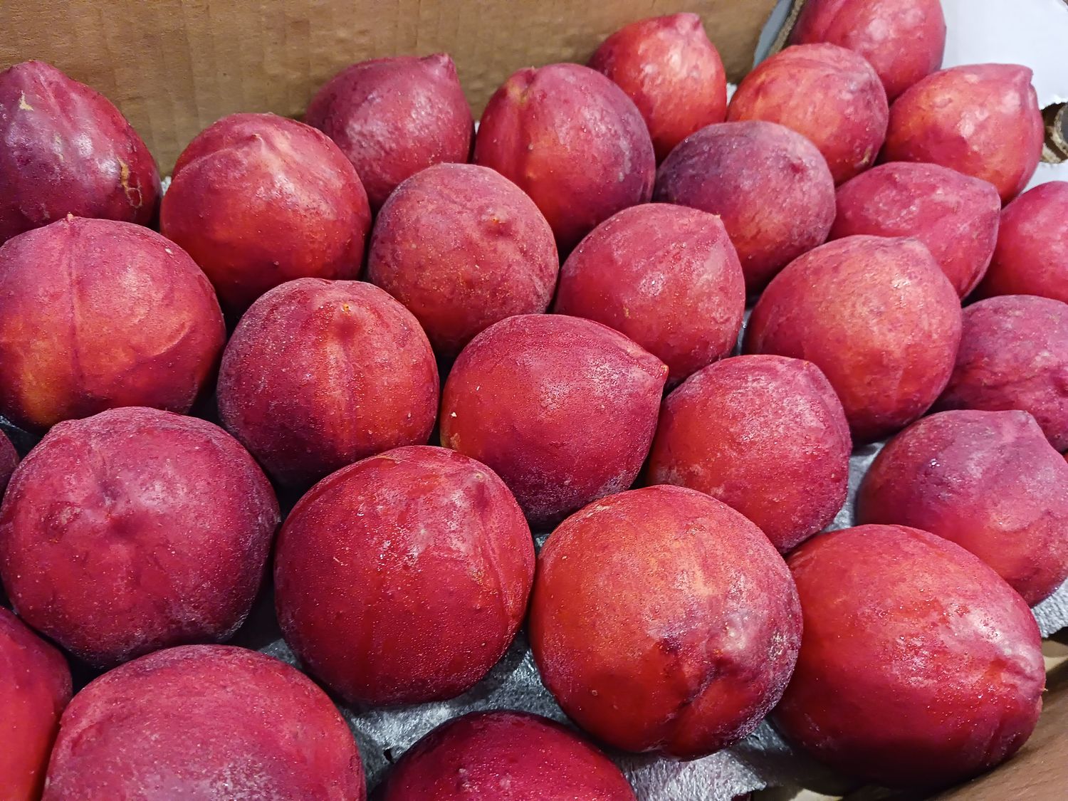 Colorado Palisade Nectarines 12 count - Free Shipping