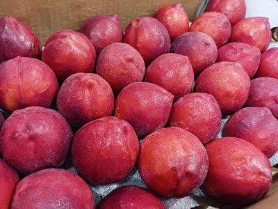 Colorado Palisade Nectarines 12 count - Free Shipping