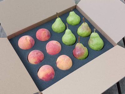 Colorado Palisade Peach and Pear Box
