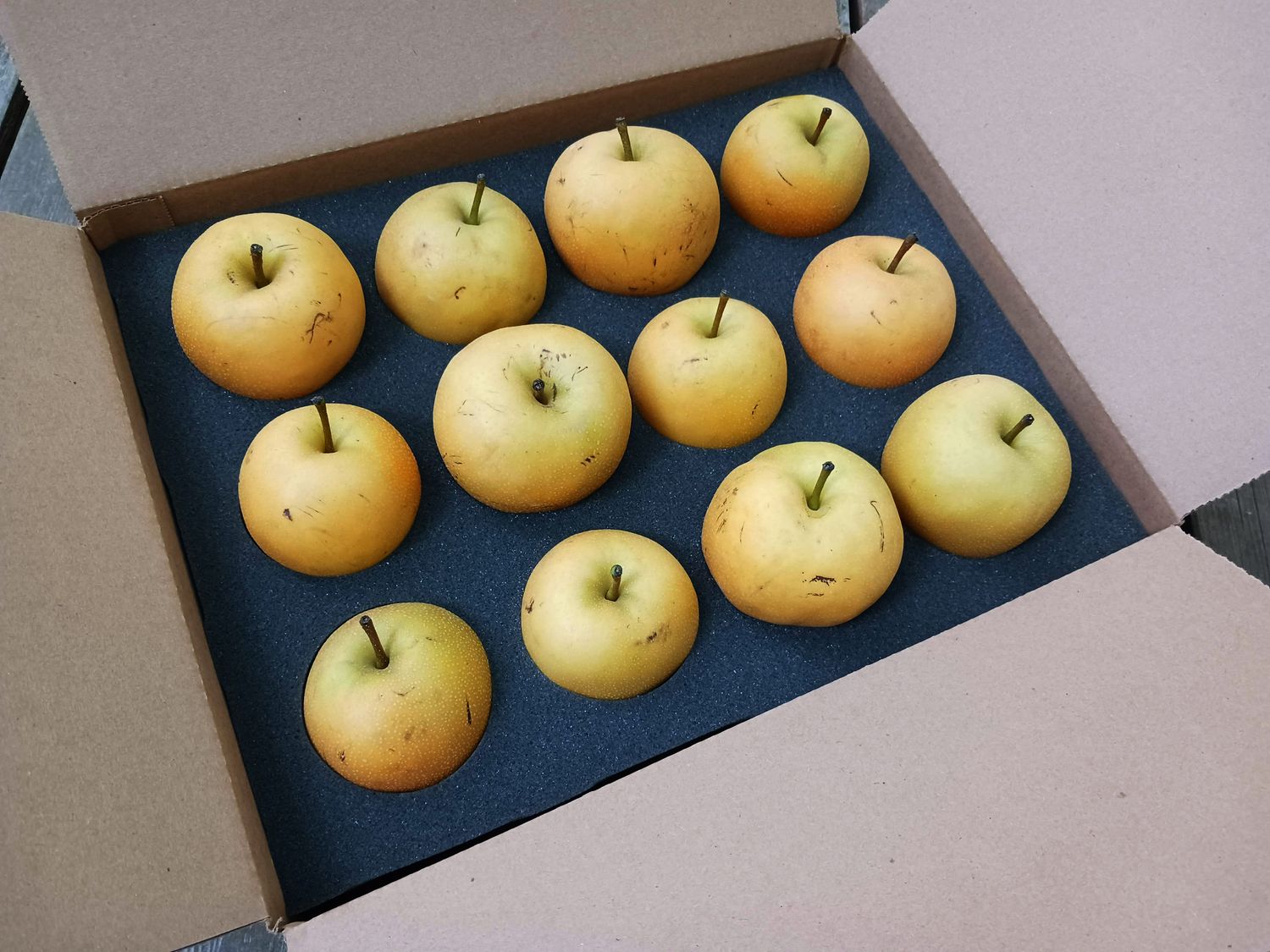 Colorado Asian Pears 12 count