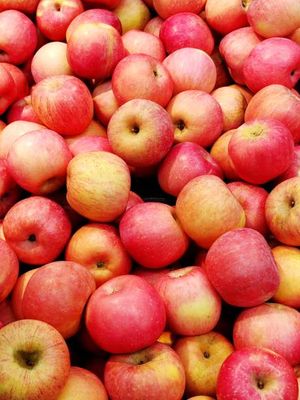 Premium Colorado Fuli Apples 12 count