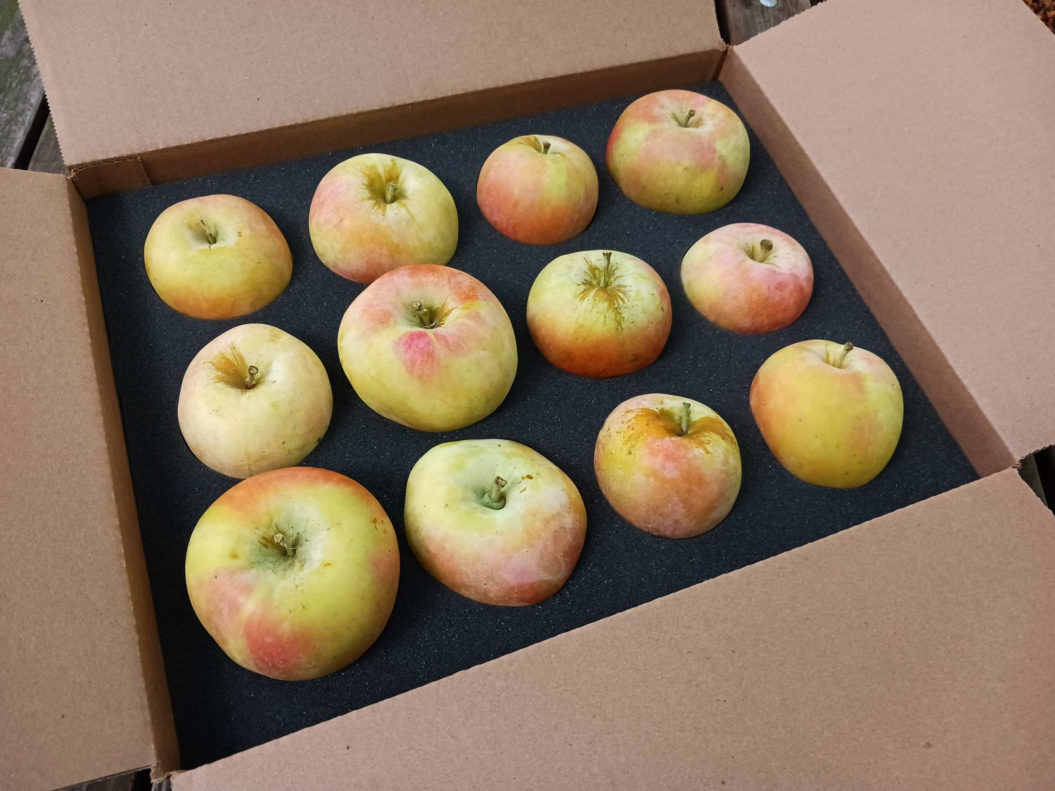 Premium Colorado Fuji Apples 12 count