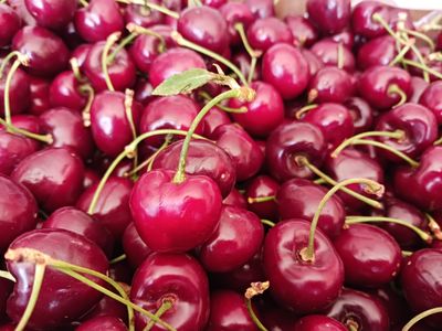 Colorado Sour Cherry Jam