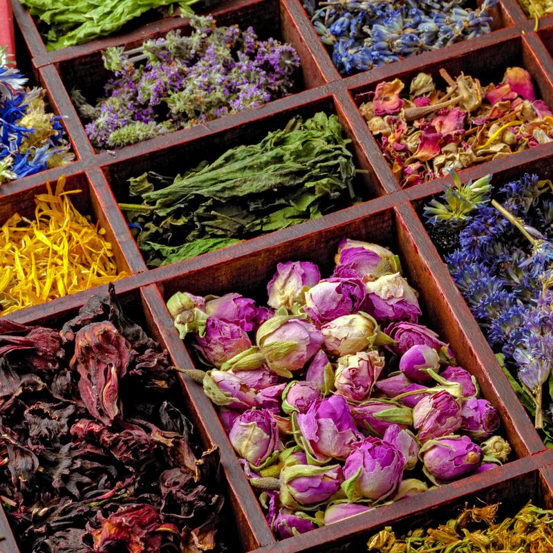 Wellness Offerings