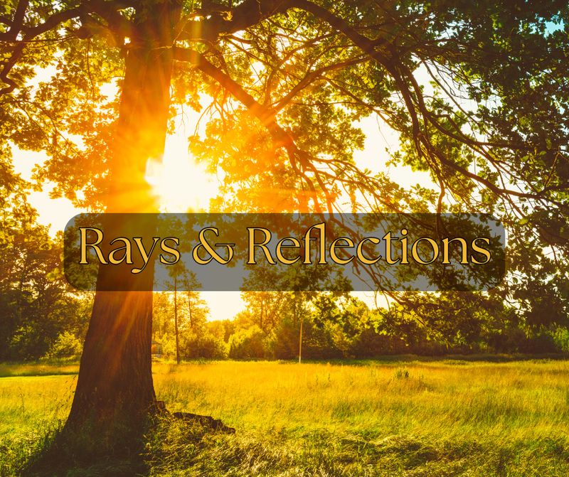 Welcome to Your Sunrise!