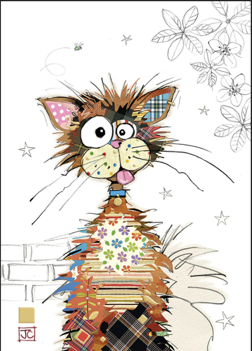 Ziggy Cat Card