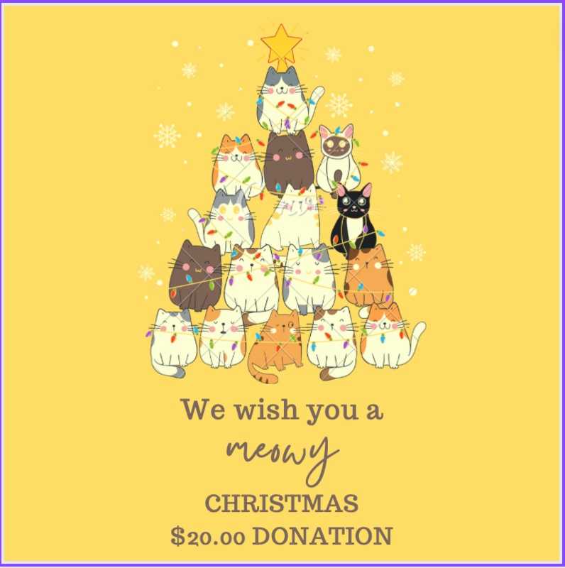 $20.00 Christmas Donation