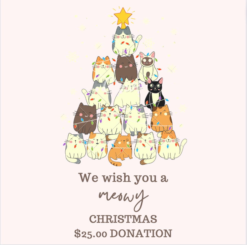 $25.00 Christmas Donation