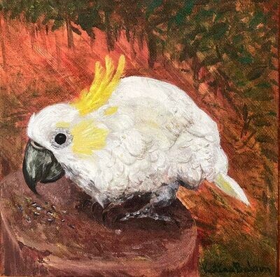 Hello Cocky limited print by Katina Balson