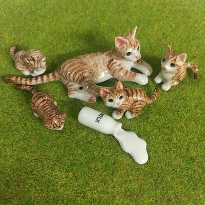 Who spilt the milk? Miniature Cat Family- Ginger