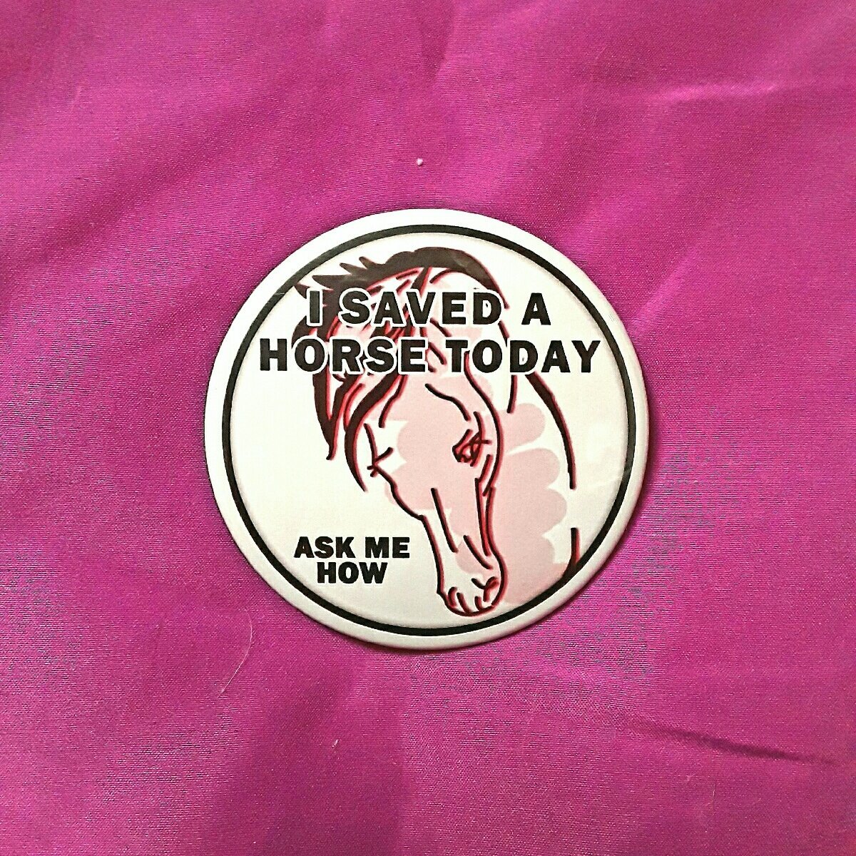 I Saved A Horse Today Badge