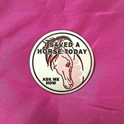 I Saved A Horse Today Badge